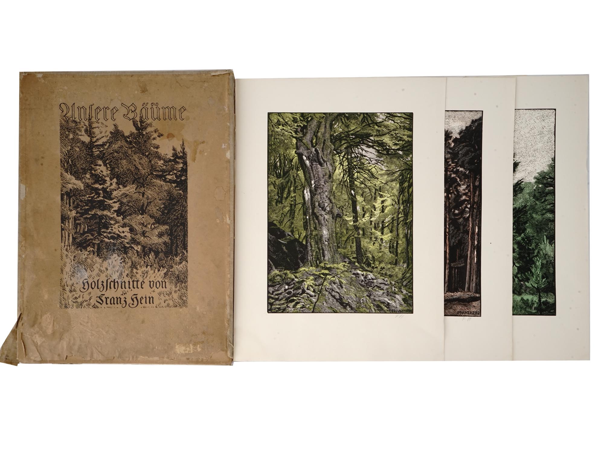 HAND COLORED WOOD BLOCKS PORTFOLIO BY FRANZ HEIN PIC-0